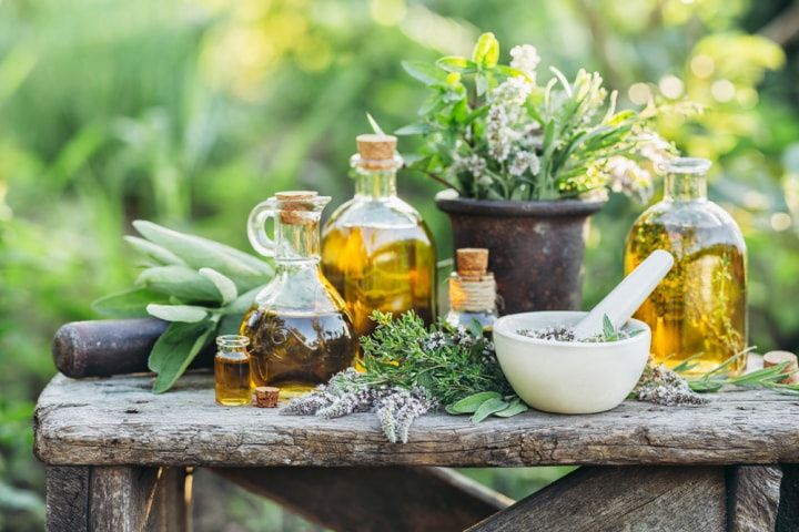 8 plantes au service de votre beauté : savoir les repérer