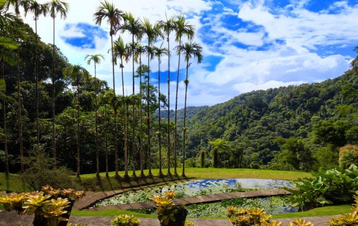 Jardin botanique de balata