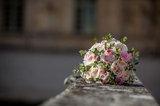 La Courtoisie