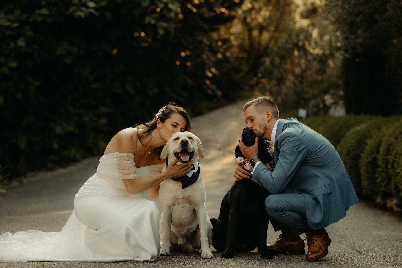 mariage avec chien