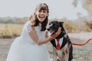 costume de mariage pour chien, mariage avec chien