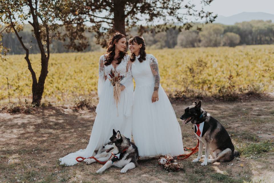 couple de mariées lesbiennes entourées de leurs chiens le jour du mariage, mariage avec chien, garde de chien, pet sitter