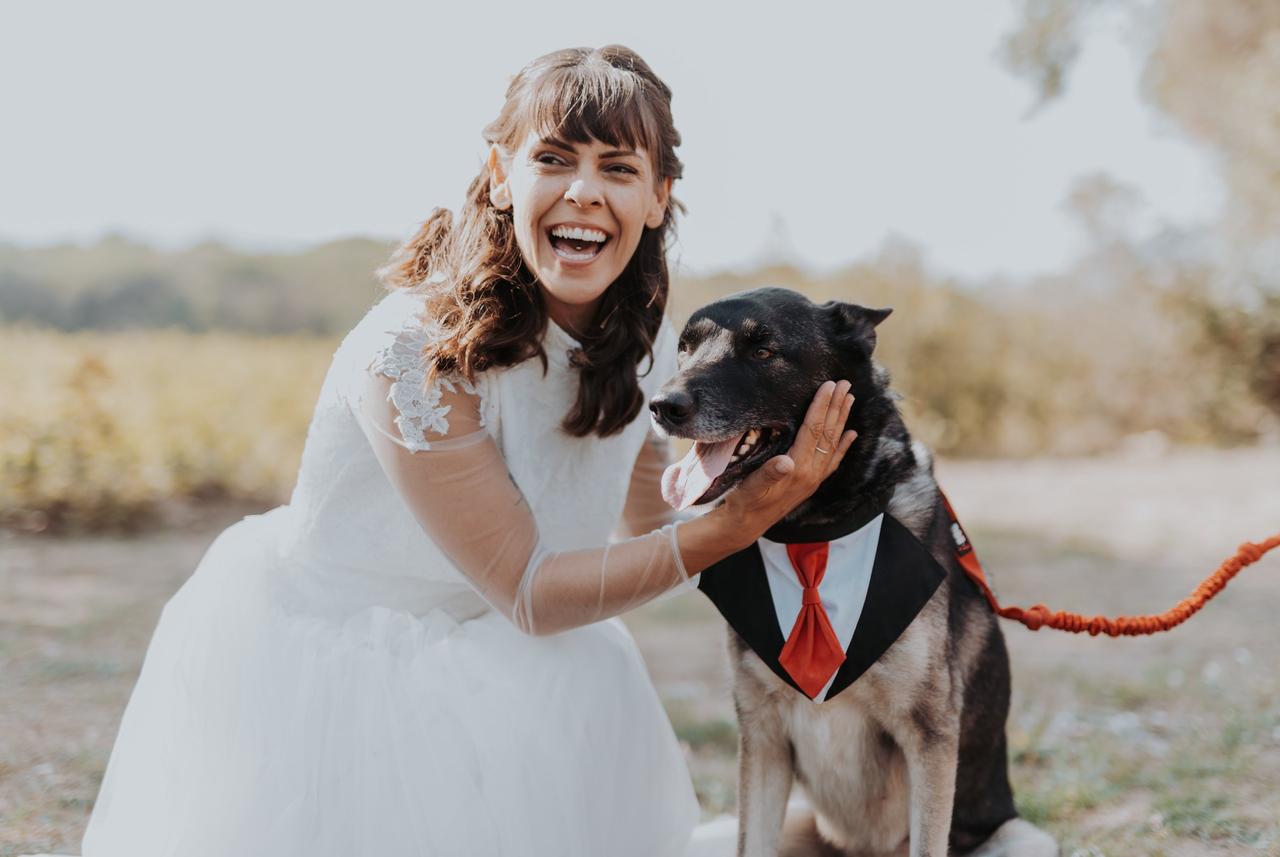 costume de mariage pour chien, mariage avec chien