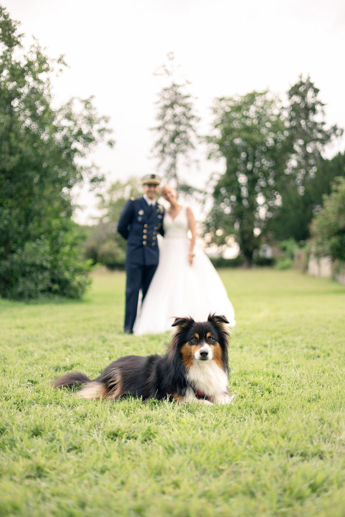 mariage avec chien, garde de chien le jour du mariage