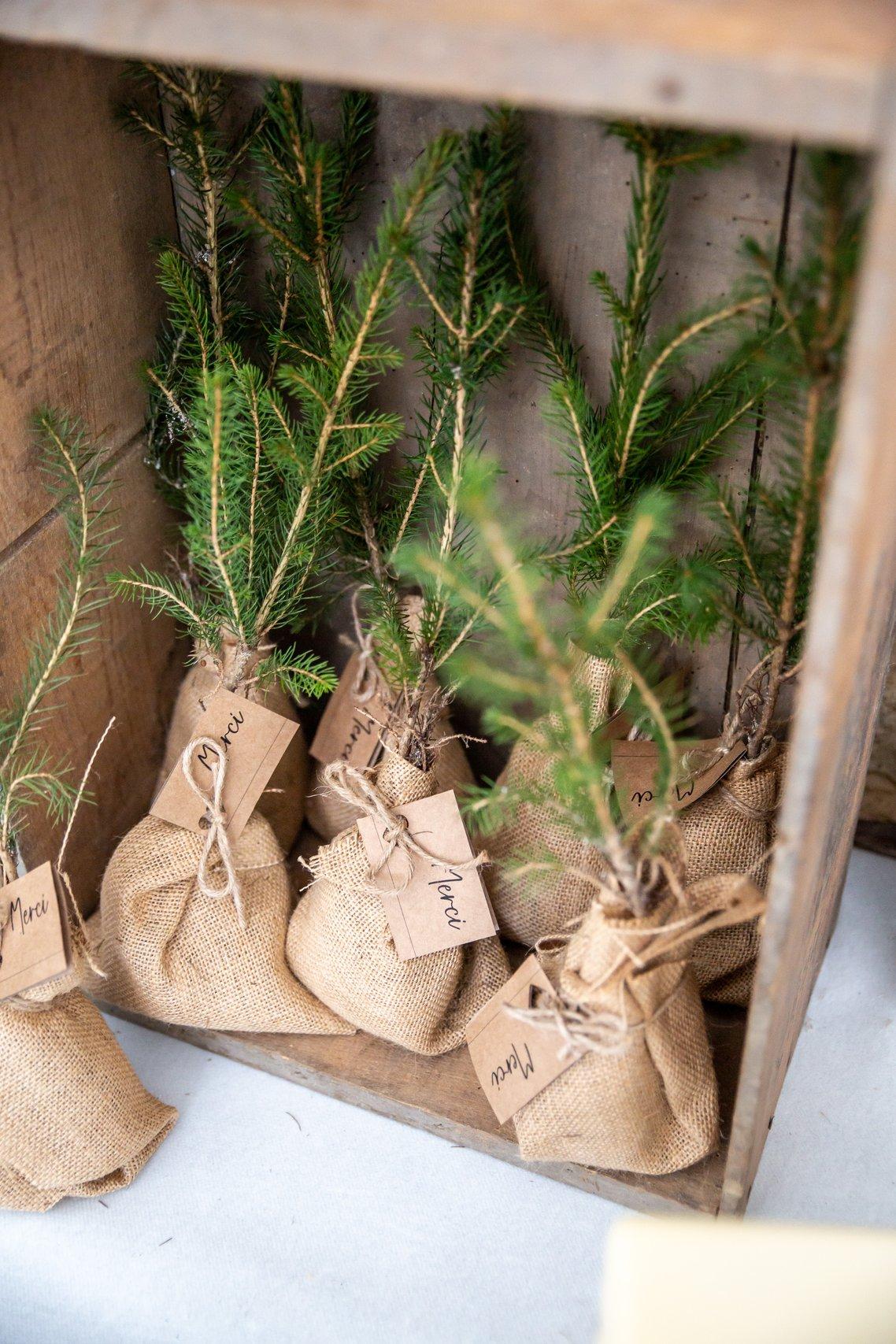 cadeau invité mariage champêtre plantes