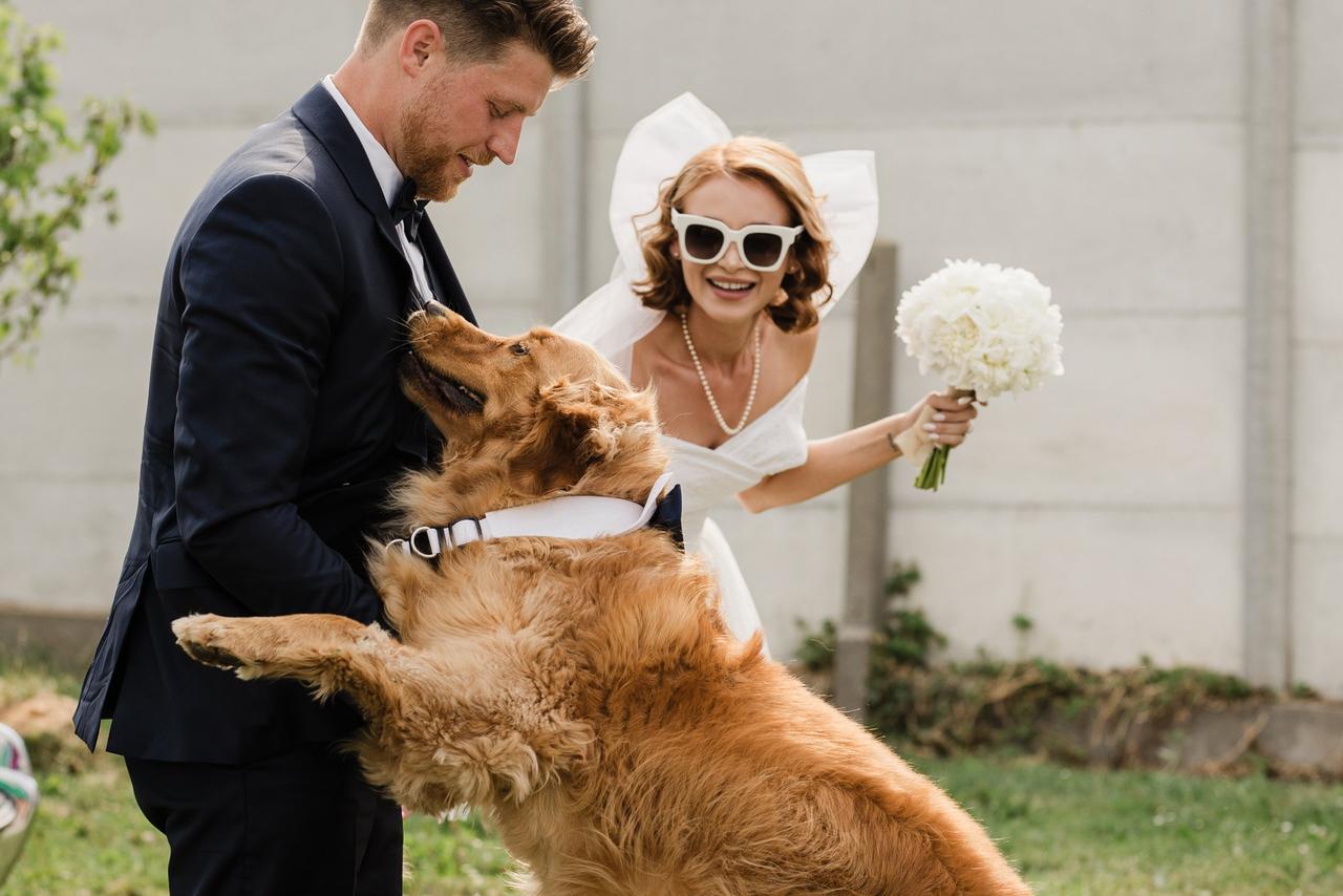 futurs mariés avec leur chien, mariage avec chien