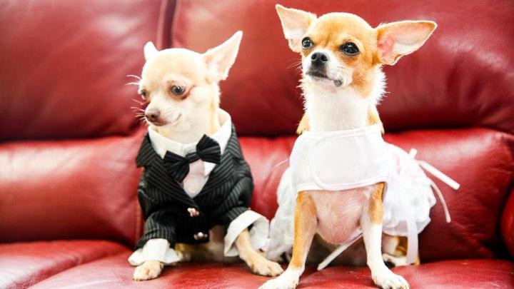 Objectif-mariage