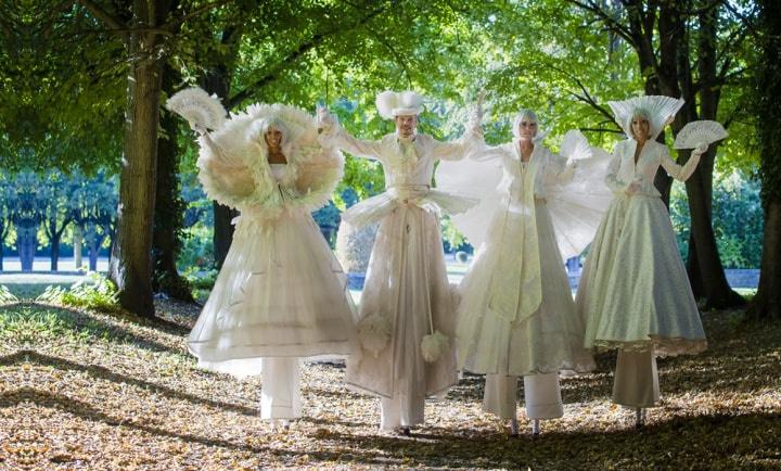 Les Echassiers Blancs Lumineux