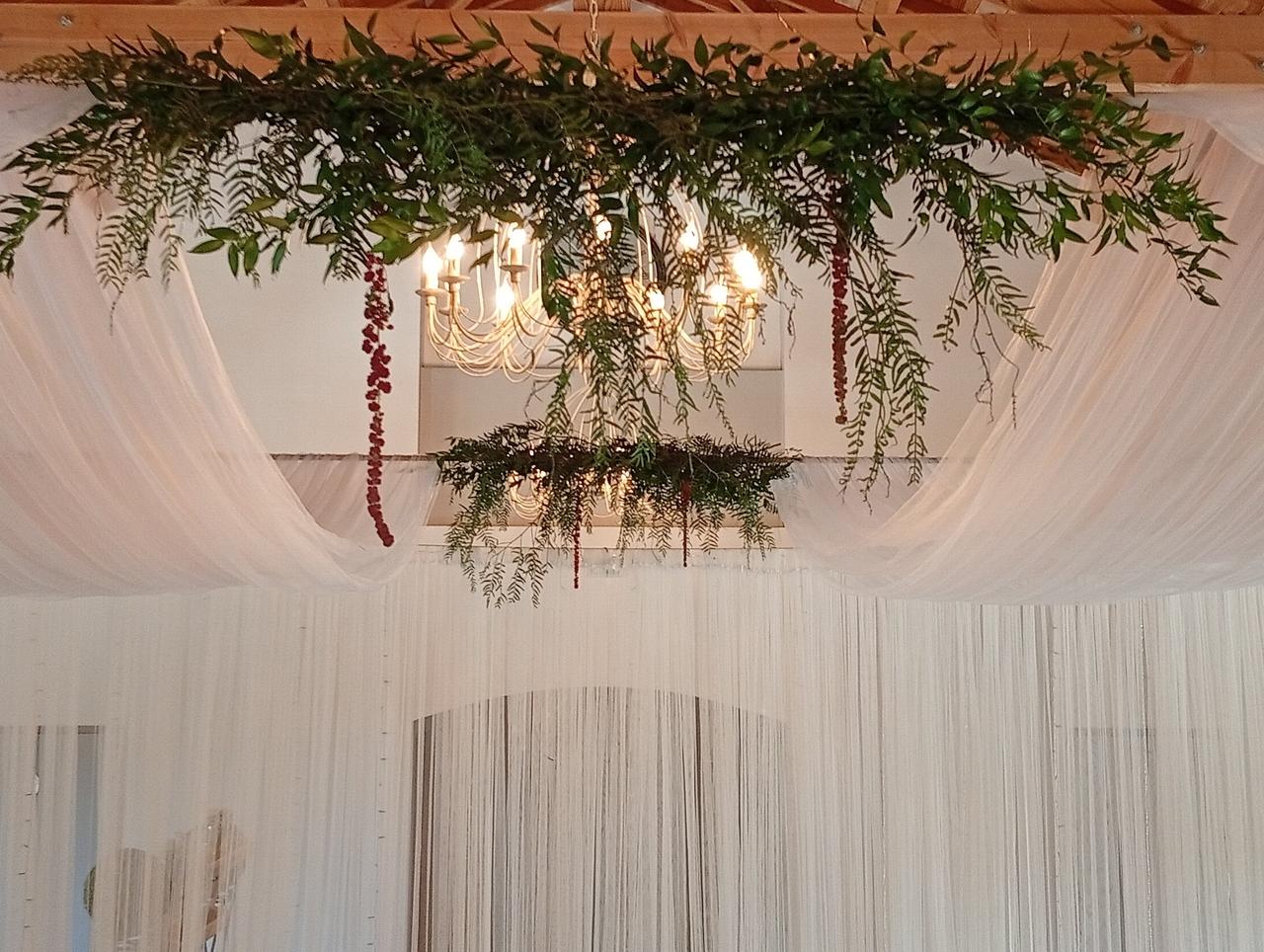 decoration  Voilages pour plafond de mariage avec plantes suspendues