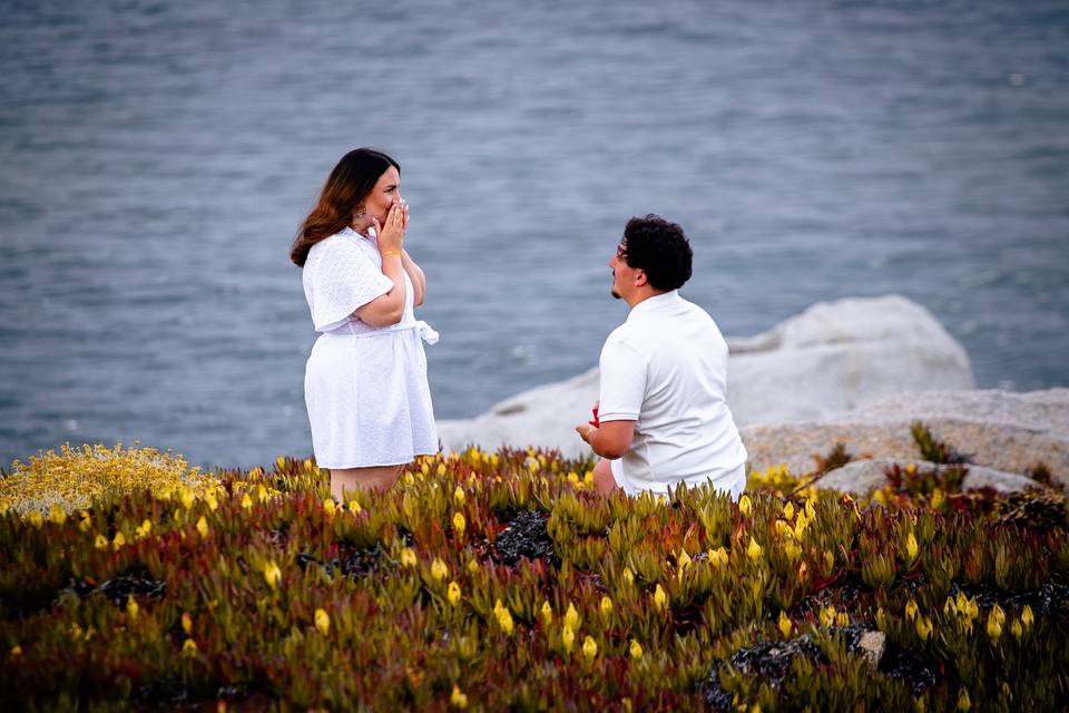 Demande en mariage surprise près de la mer