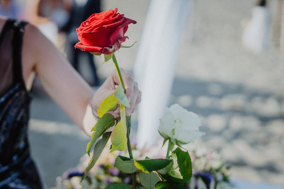 Cérémonie de la rose : un rituel de mariage qui dure dans le temps