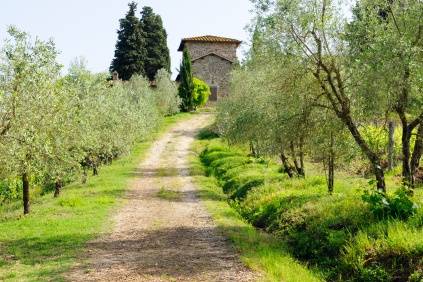 Décoration pour un mariage champêtre