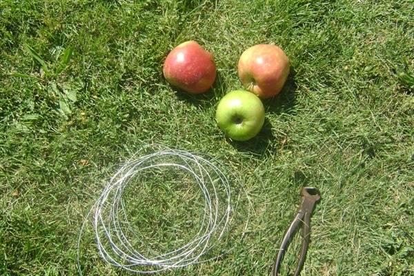 Guirlandes de pommes pour décorer vos chaises