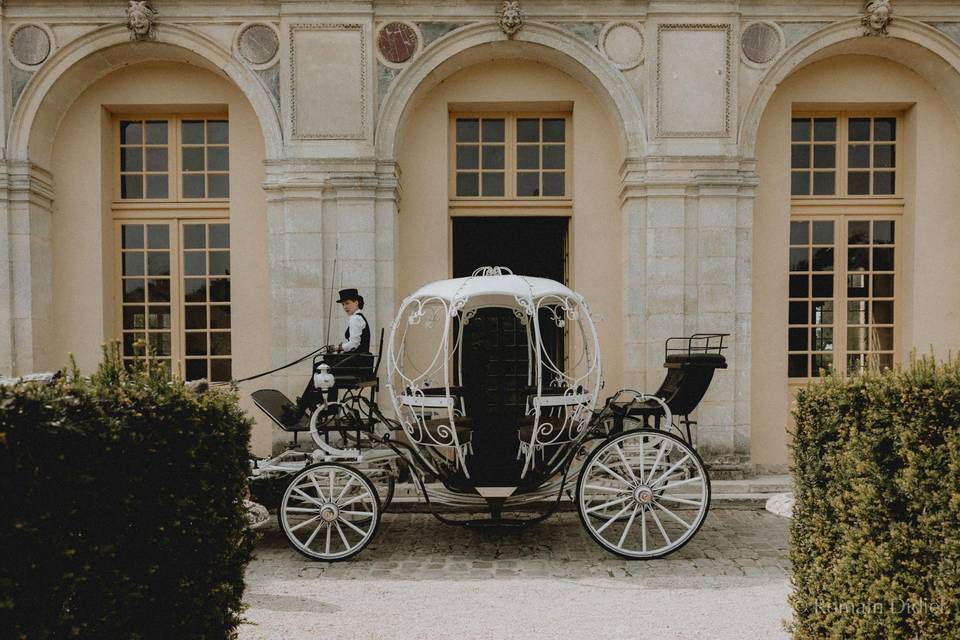 Location d'une calèche pour mariage : toutes les réponses d'un spécialiste de l'attelage