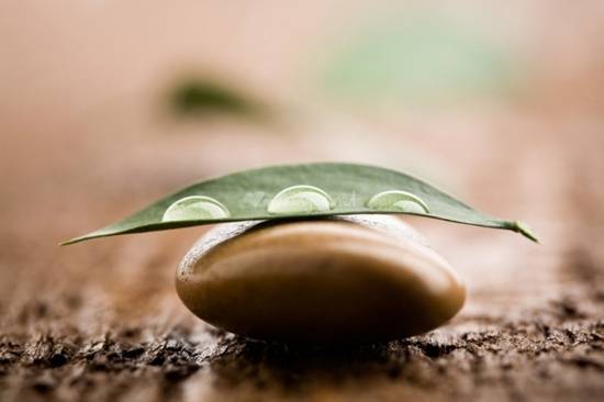 Les huiles essentielles relaxantes