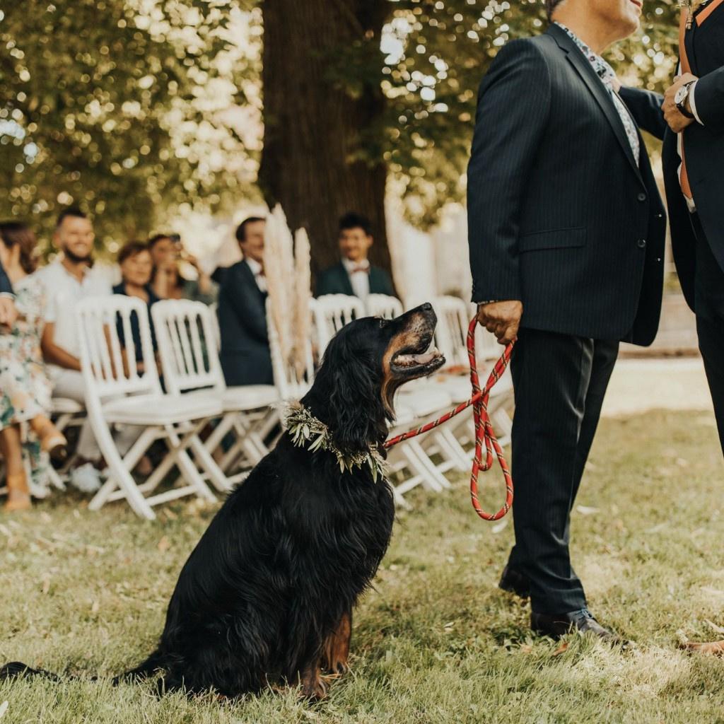 futurs mariés avec leur chien, mariage avec chien