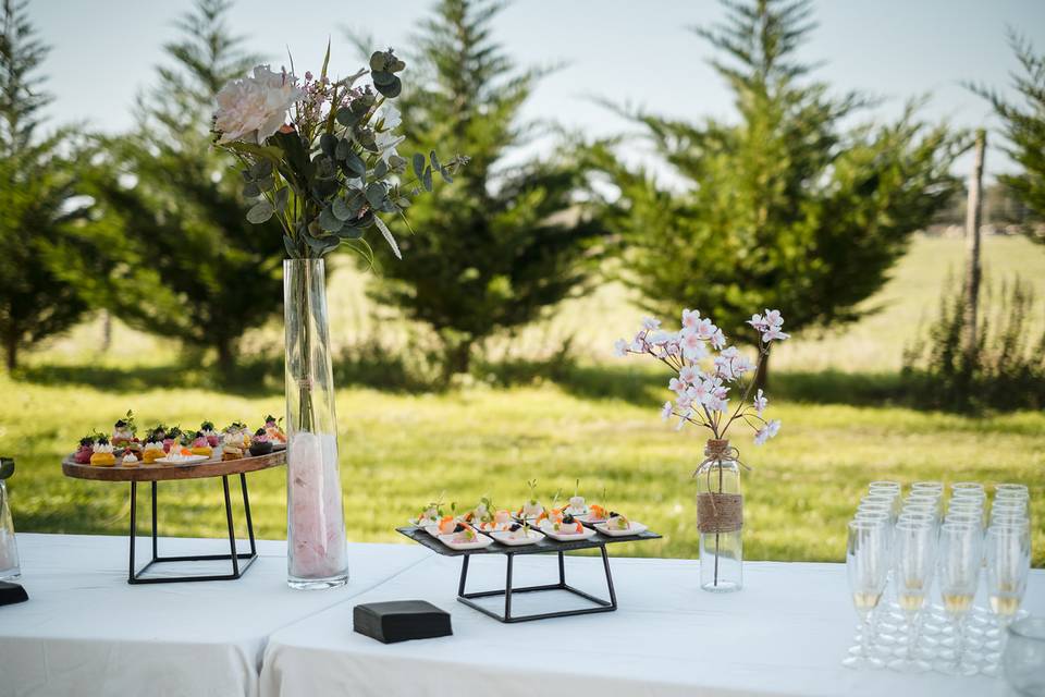 buffet de mariage extérieur décoré de plantes dans des vases et des apéritifs variés, buffet traiteur de mariage