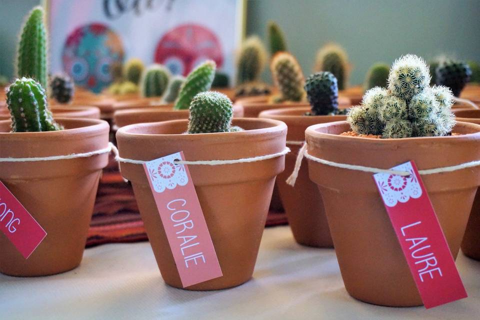 petits pots de cactus personnalisés avec des prénoms, cadeau invité de mariage plante