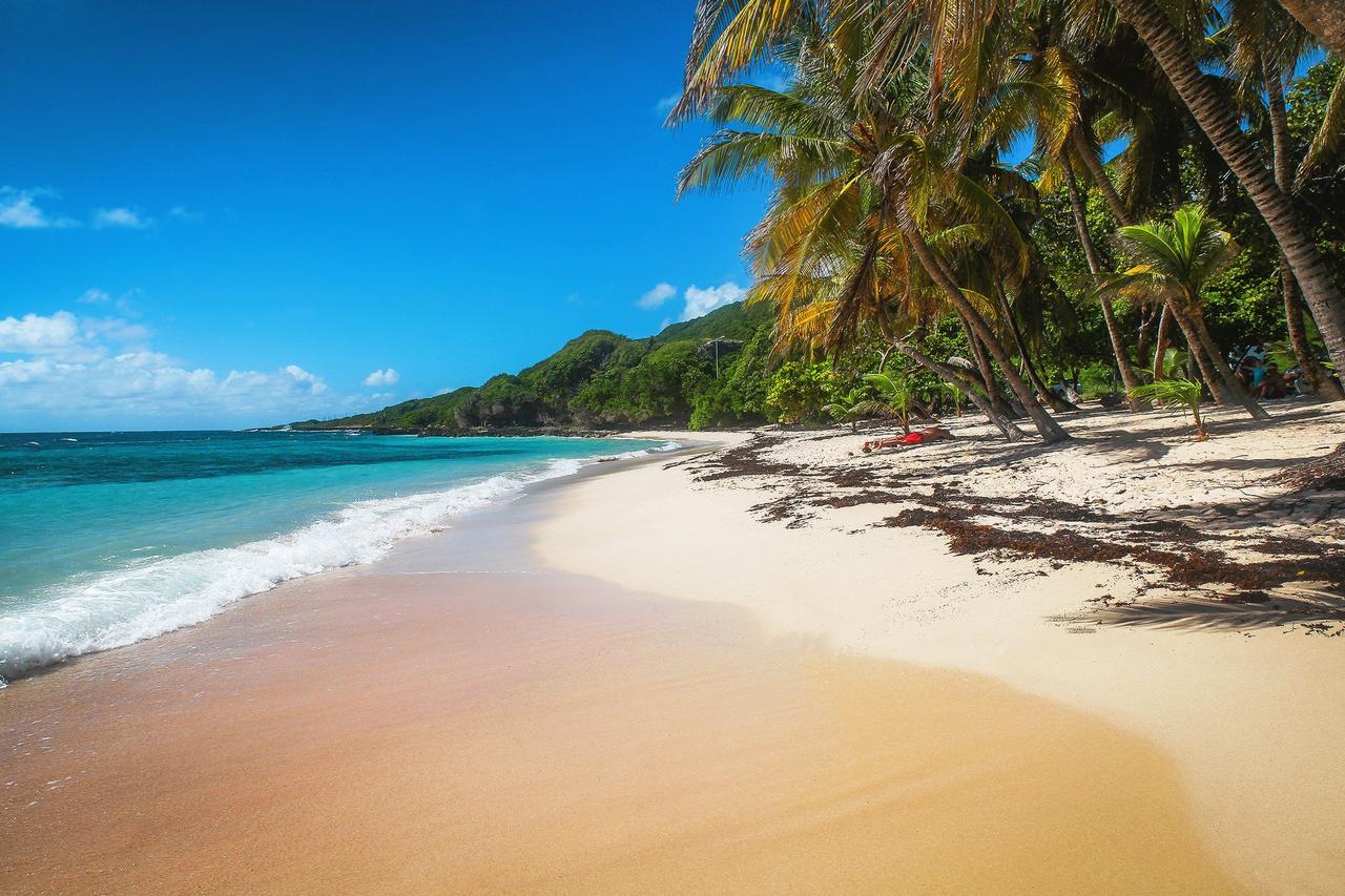 plage de guadeloupe, lune de miel en france