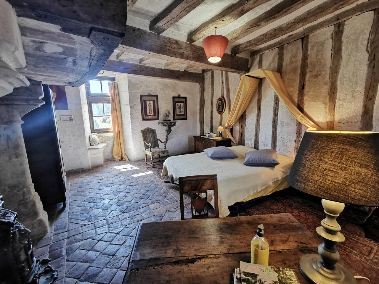 Château de Chémery