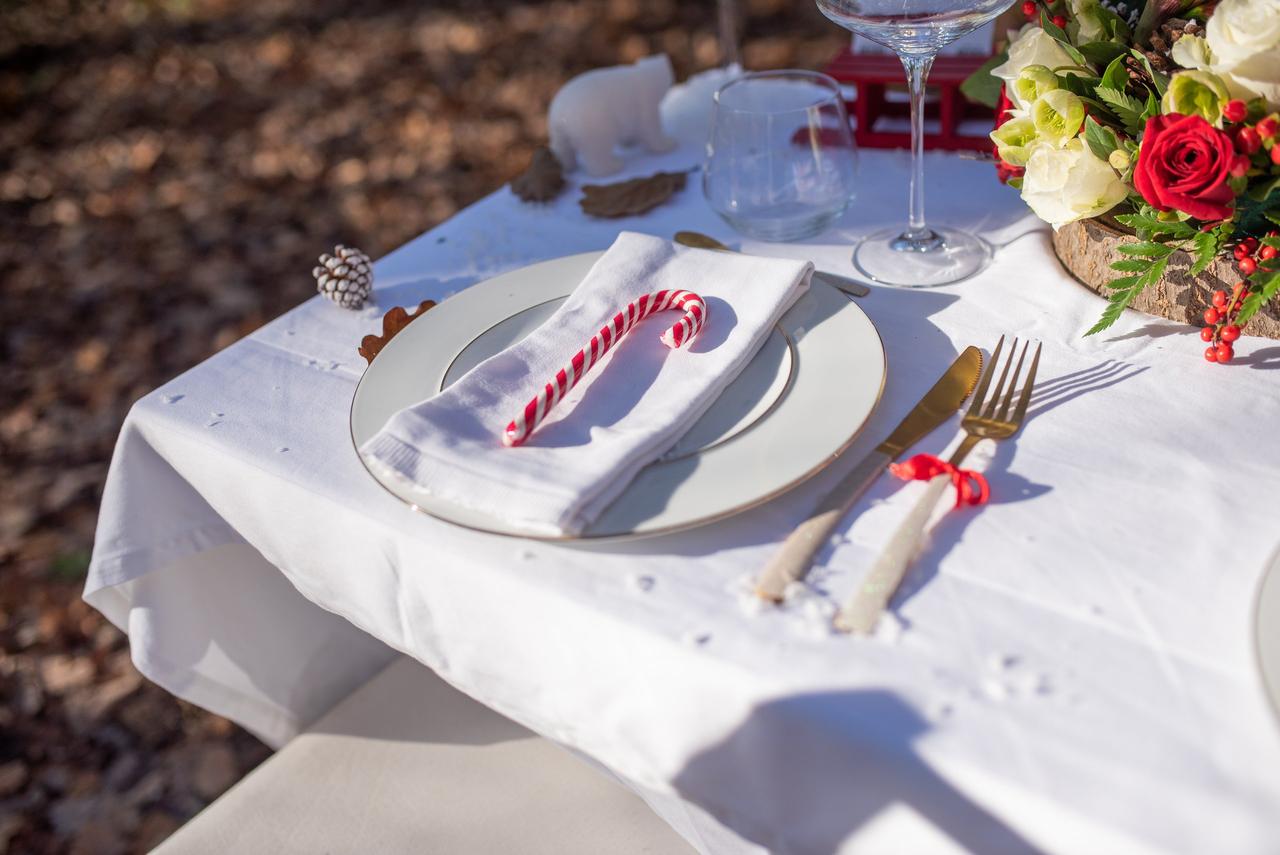 deco de mariage rouge thème Noel avec canne à sucre