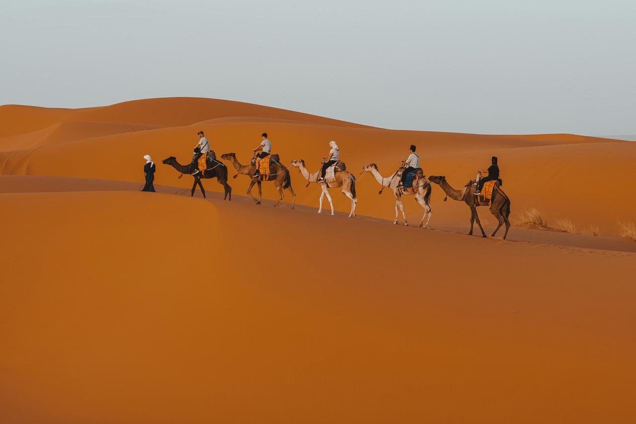 merzouga desert sahara maroc