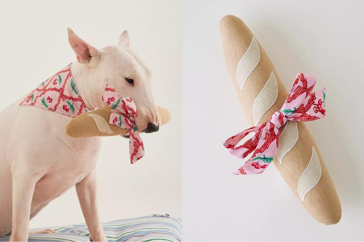 anthropologie