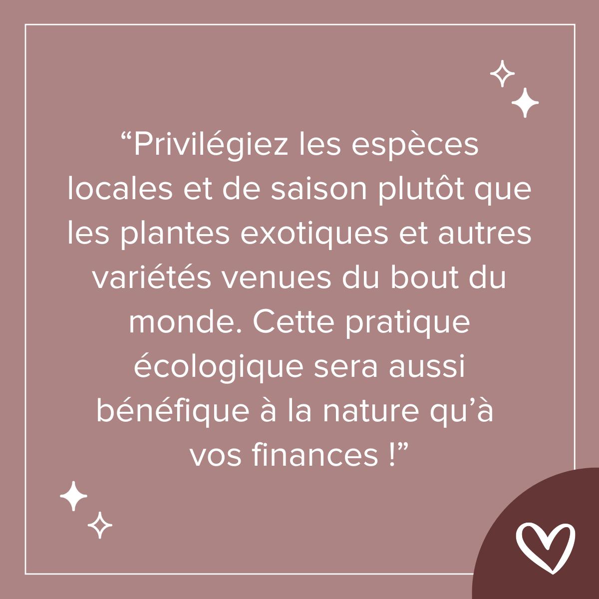 conseil mariage pas cher, privilegier les especes locales pour un mariage petit budget