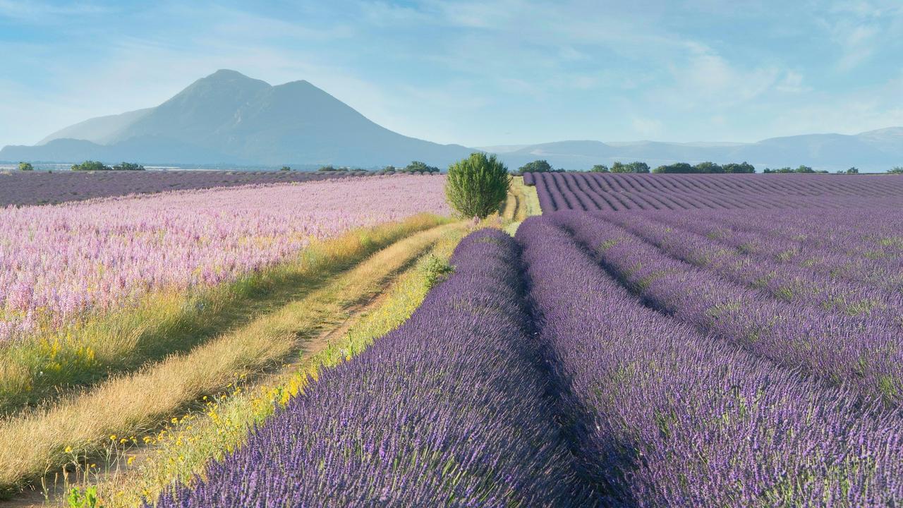 lune de miel europe provence