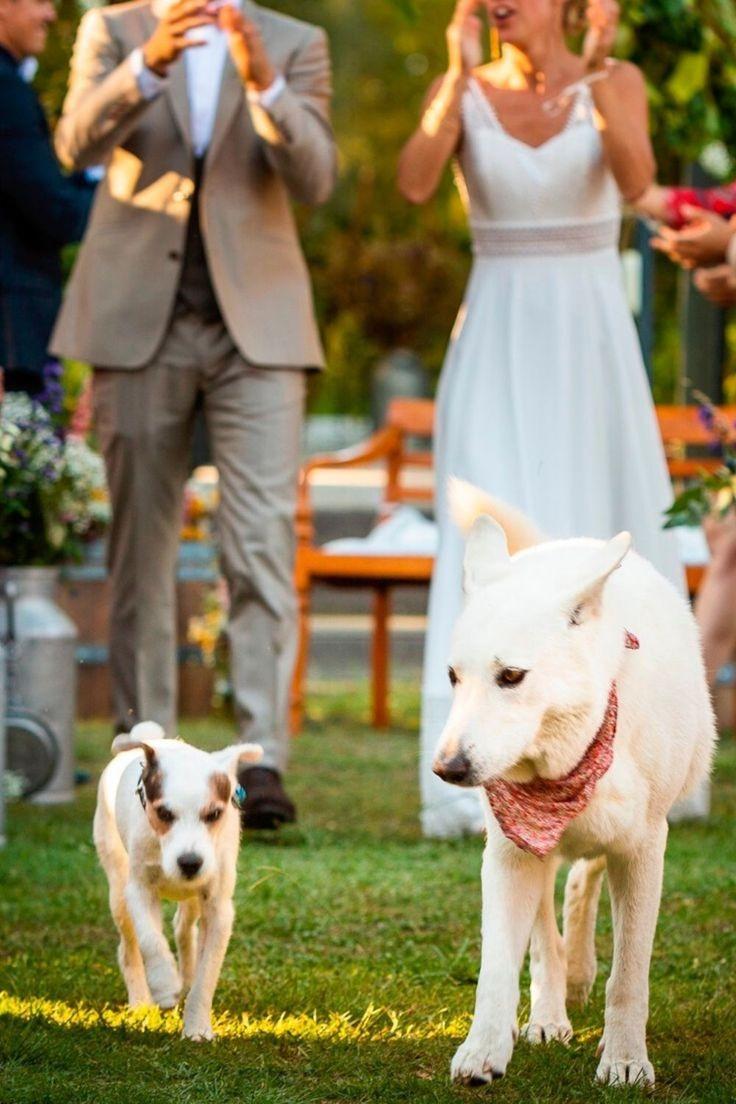 futurs mariés avec leur chien, mariage avec chien