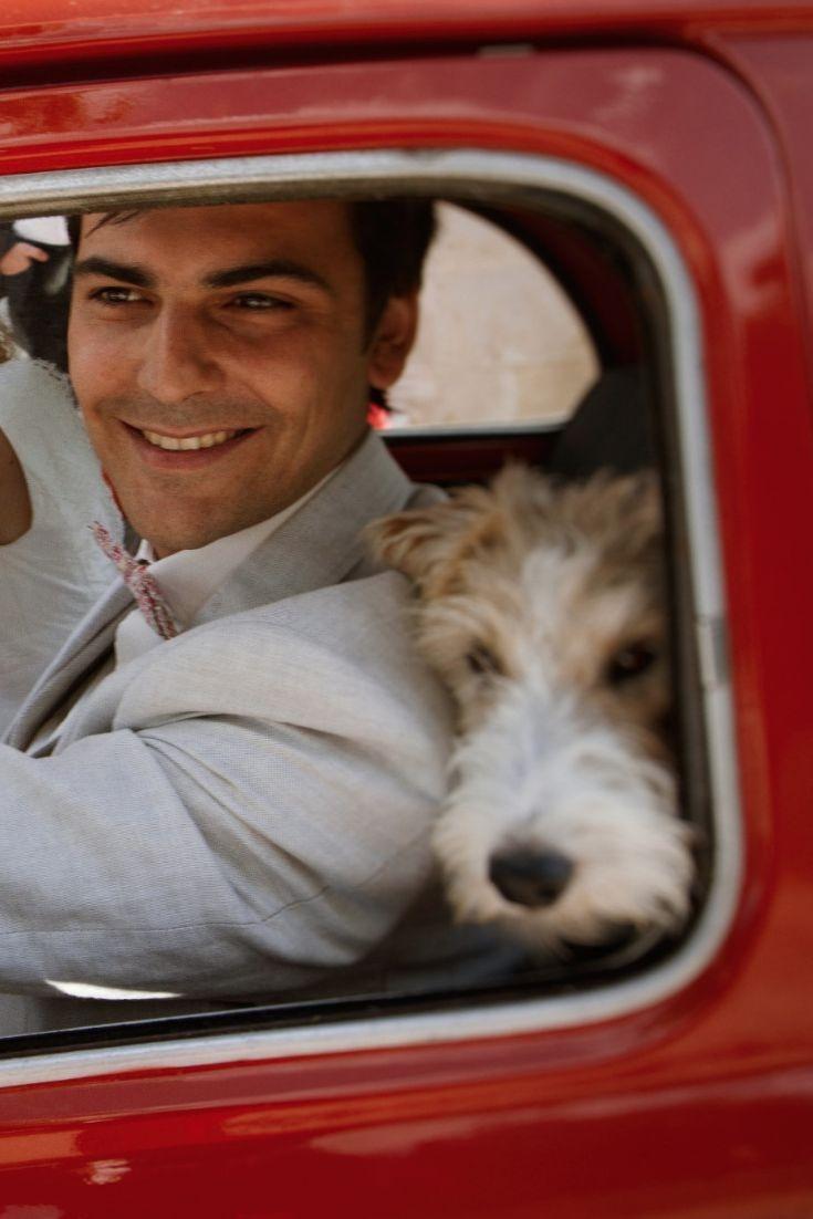 futur marié avec son chien dans la voiture de mariage