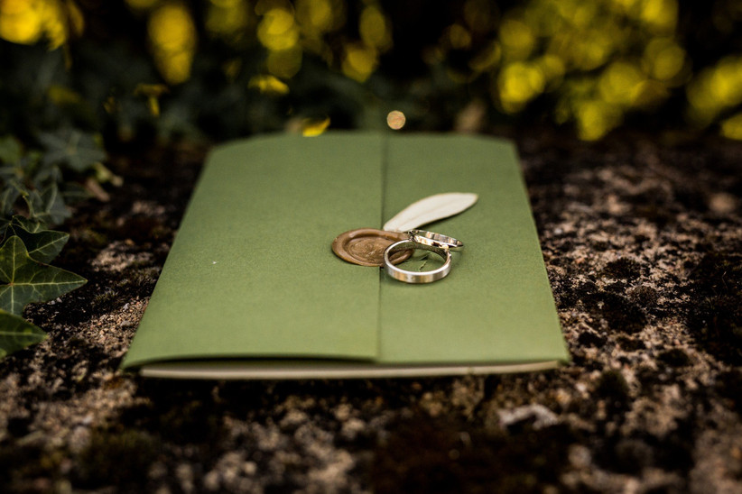 Sandra L photography