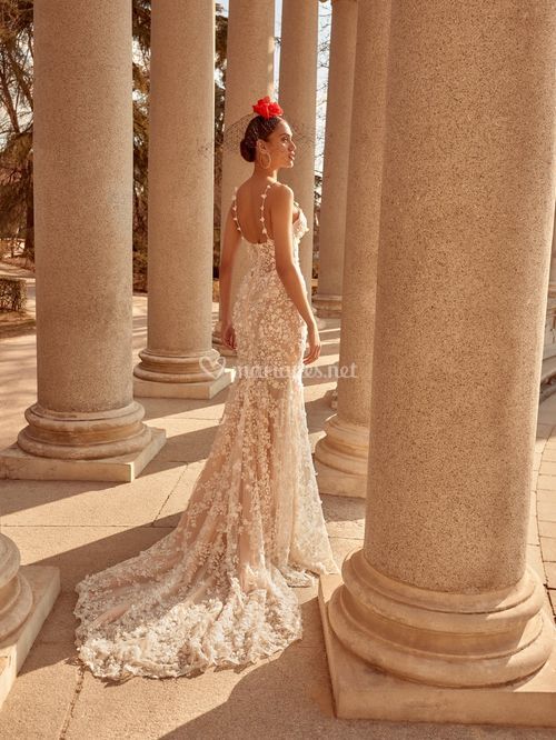 CATALINA, Galia Lahav