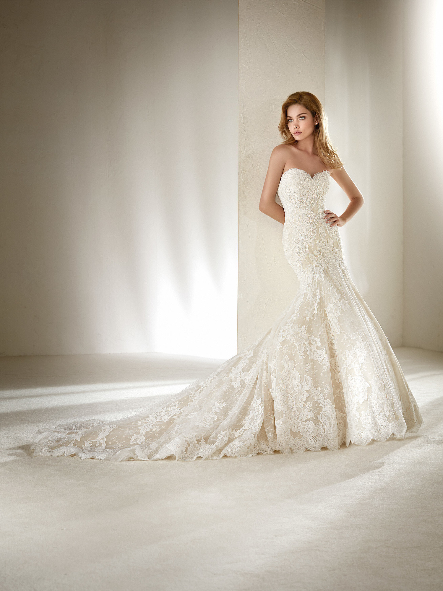 Robes De Mariée Sur Pronovias Druida 8013