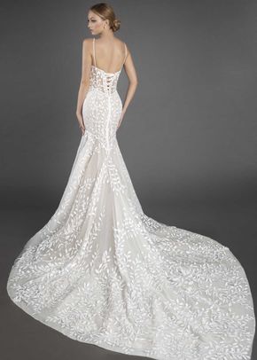 14895N, Pnina Tornai