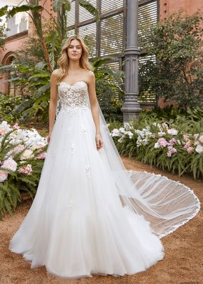 FELICIA, St. Patrick La Sposa