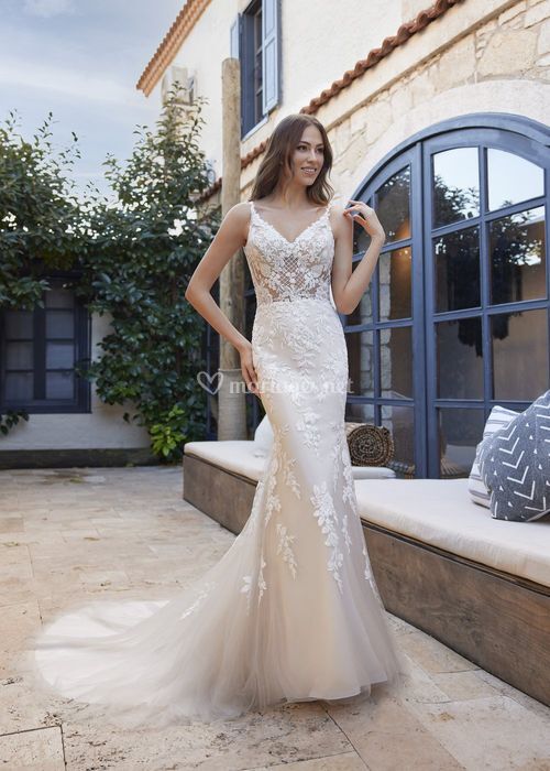 Celeste, Randy Fenoli