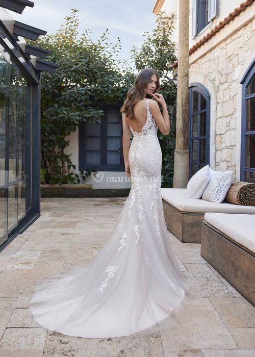 Celeste, Randy Fenoli