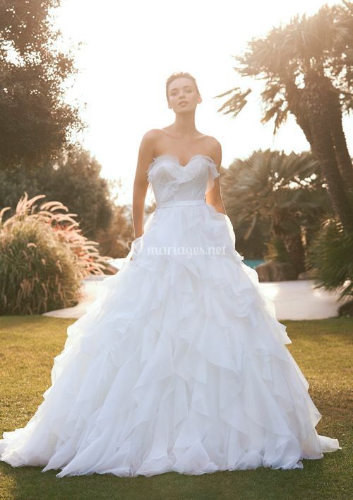 AINE, Pronovias