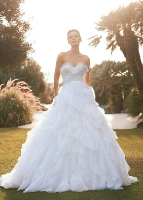 AINE, Pronovias