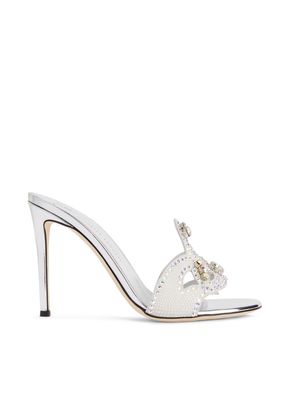 E200054003, Giuseppe Zanotti