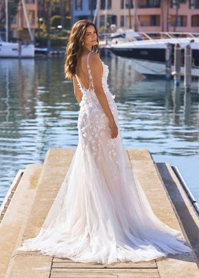 rhapsody, Pronovias