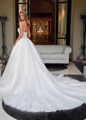 DP465, Demetrios