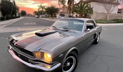 Mustang 66
