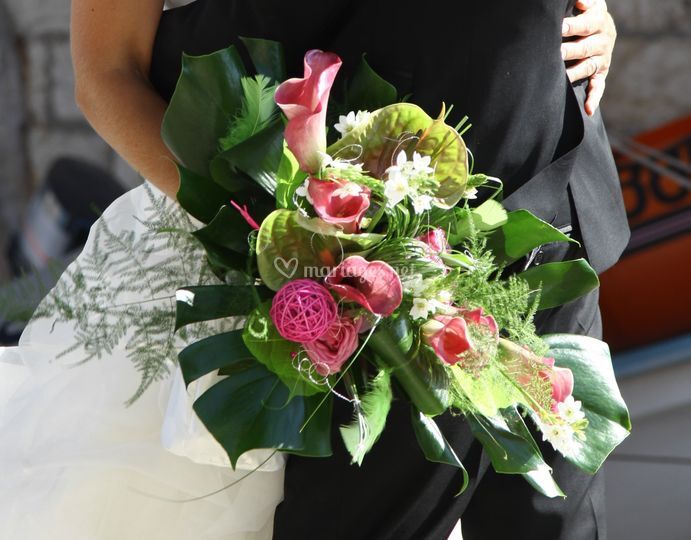 Rose de France Fleurs