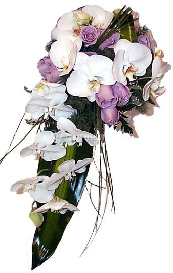 France Fleurs Créations
