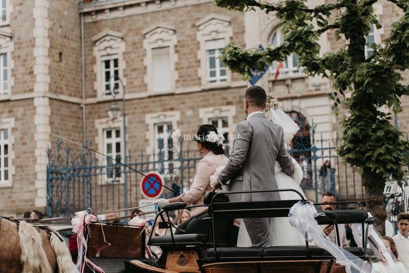 Ferme du Pre Fleuri - Attelages