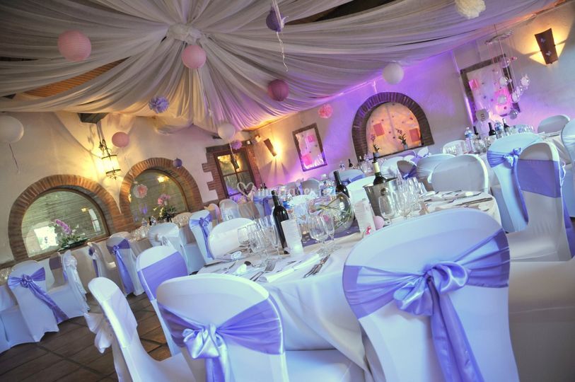 Festiv Deco 66