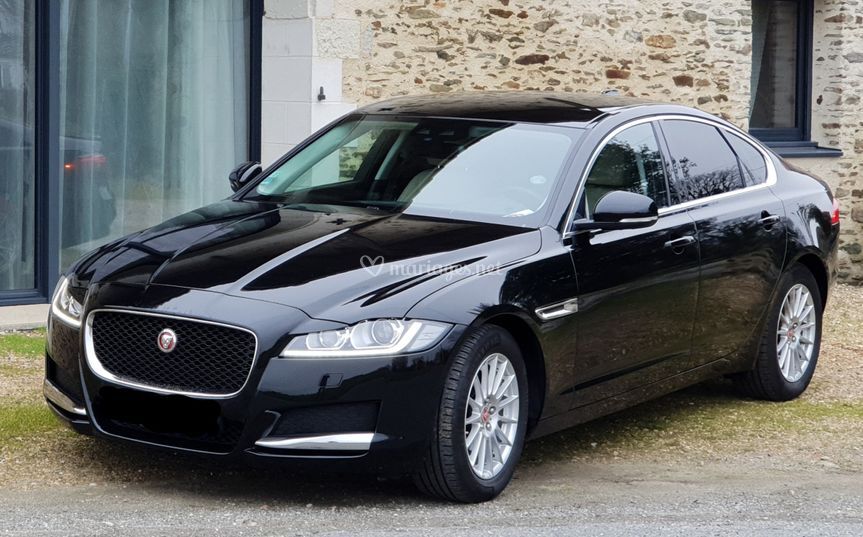 New jaguar lux