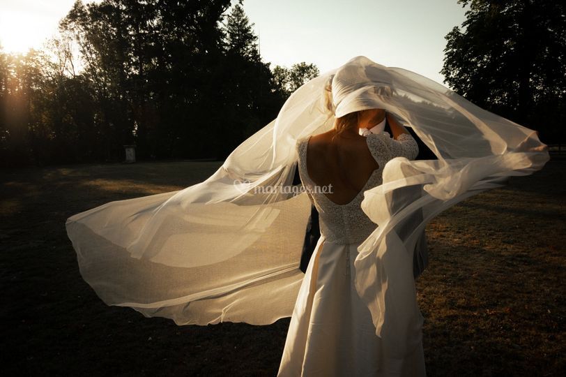 LP Wedd